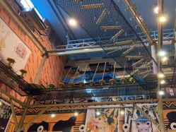 点击看大图 -卡通尼·Safari非洲探索乐园·生日会(金桥国际商业广场店)