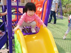 -小鱼草莓采摘园农家乐·小鱼餐厅