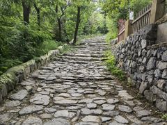 -阳台山自然风景区