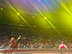 -俄罗斯国家大马戏团