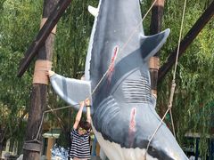 -青岛方特梦幻王国