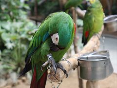 -南宫五洲植物乐园