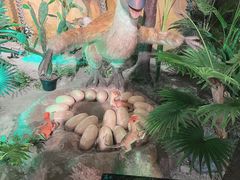 -哈尔滨极地公园