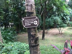 -三亚湾海居铂尔曼度假酒店