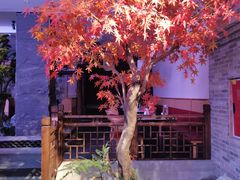 -夫妻肺片·中华老字号·正宗川菜(春熙路店)