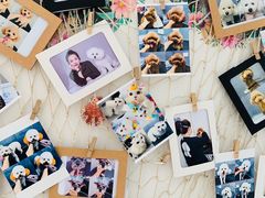 -太原东方动物医院(小店分院)