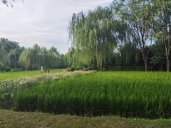 -北坞公园