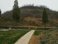 -洛阳古墓博物馆