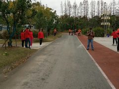 -上海长兴岛郊野公园