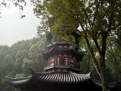 -上海佘山国家森林公园西佘山园