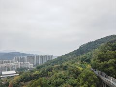 -福道