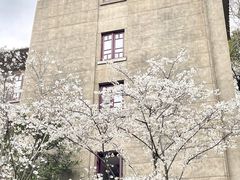-武汉大学-樱园