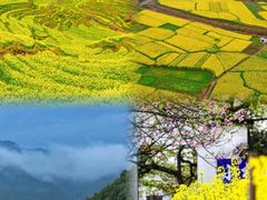 -篁岭景区