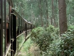 -合肥滨湖国家森林公园