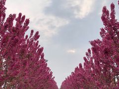 -北京美神宫艺术主题温泉酒店