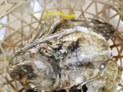 -北方饺子王·海肠捞饭·海鲜锅(山大店)