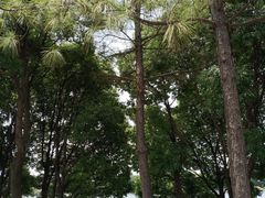 -美兰湖景区
