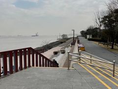 -上海滨江森林公园