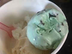 -莓园冰淇淋店