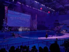 -华夏文旅海洋公园