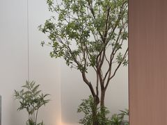 -柏乐口腔(南宁总院)