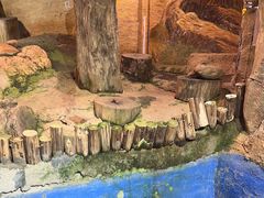 -正佳雨林生态植物园