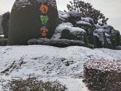 -南京银杏湖乐园