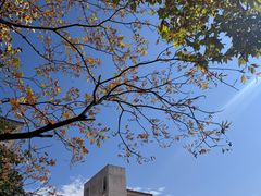 -浙江农林大学(东湖校区)