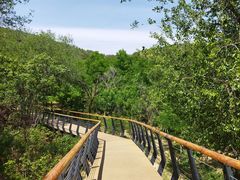 -白水寺森林公园