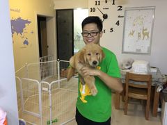 -翊宠yipet猫狗购宠庄园犬舍•猫舍