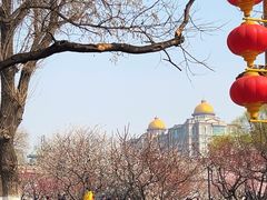 -北京明城墙遗址公园