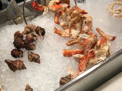 海鲜-罗浮宫索菲特酒店餐饮部