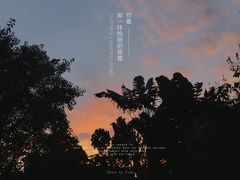 -西双版纳洲际度假酒店兰吧