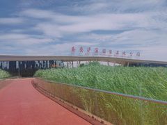 -西安浐灞国家湿地公园