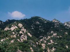 -大岭沟猕猴桃谷风景区