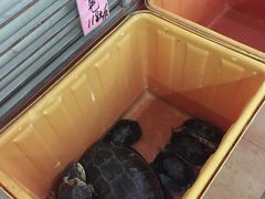 -荔城生鲜盛宴(番禺旗舰店)