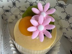 -COVA(新天地Xintiandi店)