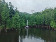 -广州市帽峰山景区