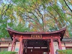 -上海佘山国家森林公园天马山园