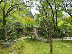 -西芳寺(苔寺)