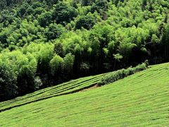 -敬亭山风景名胜区