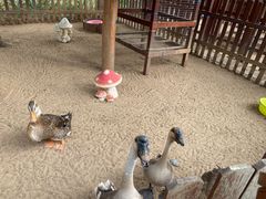 -三亚海棠湾万丽度假酒店