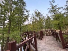 -同里国家湿地公园