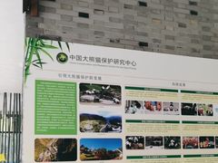 -都江堰中华大熊猫苑