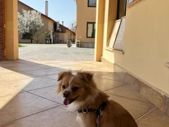 -意大利农场度假村