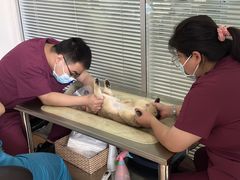 -宠颐生中康贝怡动物医院