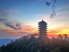 -缙云山景区