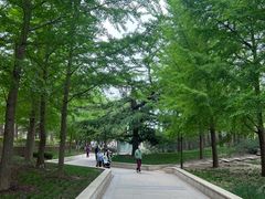 -元大都城垣遗址公园