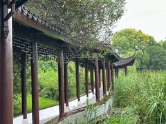 -日出青木·杭帮菜名店