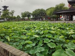 -三国水浒景区(无锡影视基地)